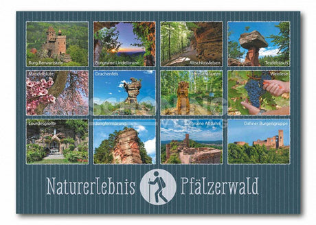 Naturerlebnis Pfälzerwald - Postkarte 12 Motive, Pfalz Shop